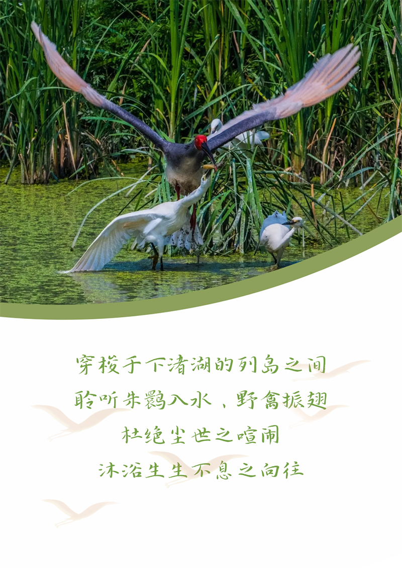 心心念廿 相伴pa视讯集团 | 与德清相约 贺廿载诞辰